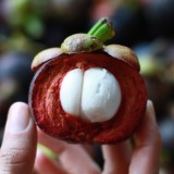 Vruchtvlees in Mangosteen Mangosteen.vruchtvlees