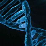 Genoom in kaart brengen: kosten van genenonderzoek