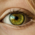 Groene ogen: zeldzaam en bijzonder