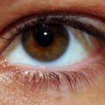 Bruine oogkleur: iris en pigment zeldzaam of niet?