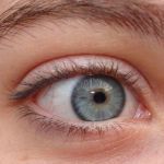 Grijze ogen: iris en oogkleur grijs