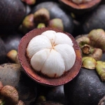 Mangosteen